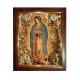 Guadalupe apariciones