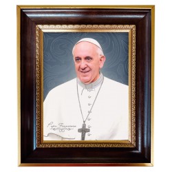 20M54 Papa Francisco rostro